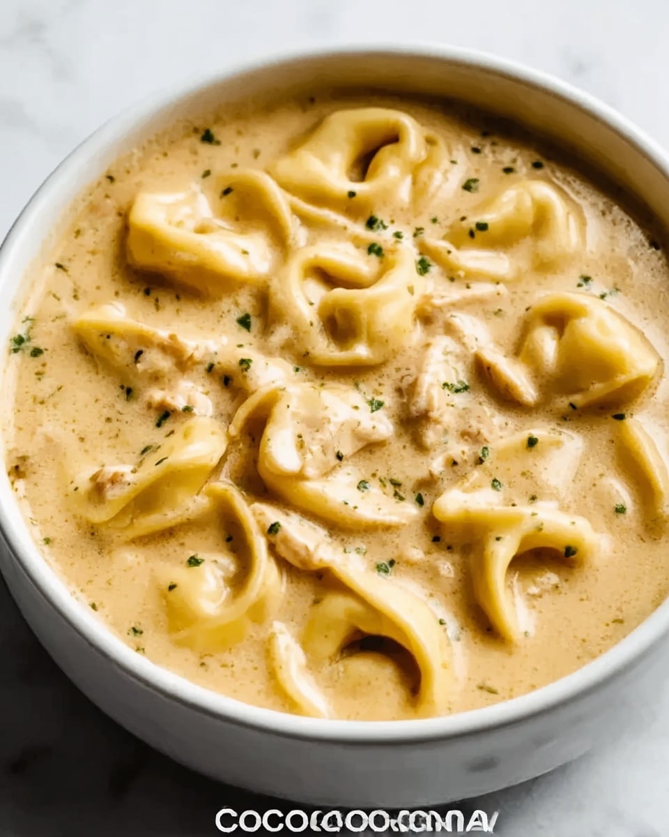 A white bowl filled with creamy soup containing tortellini pasta and small pieces of chicken, floating in a light beige broth with visible specks of black pepper and green herbs sprinkled on top. The tortellini are soft and slightly folded, evenly mixed with tender chicken chunks. The surface shows a smooth, thick texture with small bubbles and a few herbs for garnish. The bowl sits on a white marbled surface. photo taken with an iphone --ar 4:5 --v 7