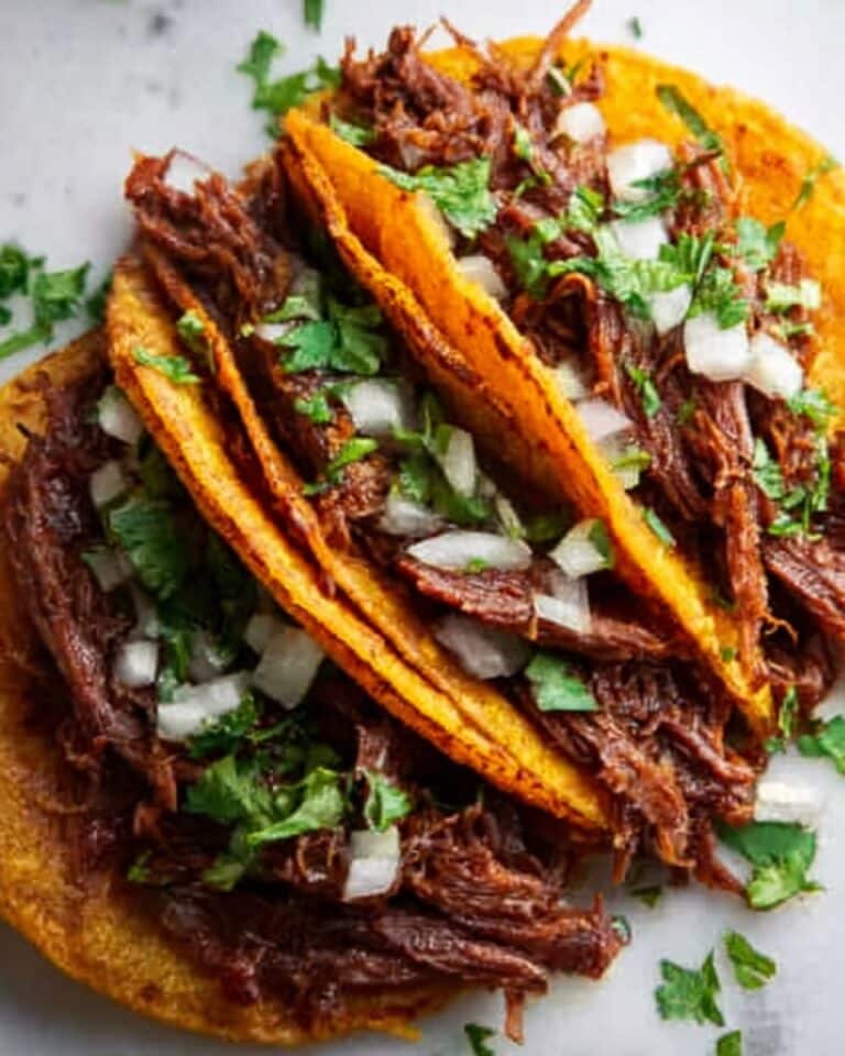 Crock Pot Birria Tacos Recipe