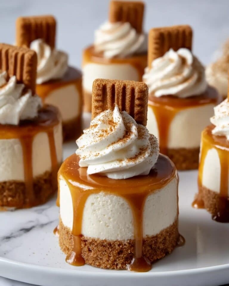 Mini Biscoff Cheesecakes Recipe